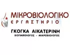 ΓΚΟΓΚΑ ΑΙΚΑΤΕΡΙΝΗ