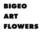 BIGEO ART FLOWERS