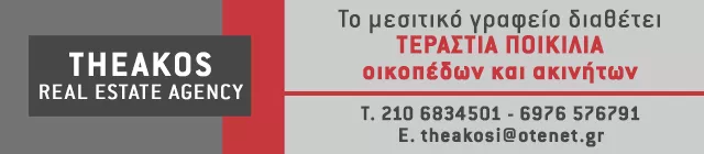 THEAKOS REAL ESTATE AGENCY