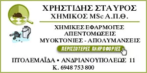 ΧΡΗΣΤΙΔΗΣ ΣΤΑΥΡΟΣ MSC