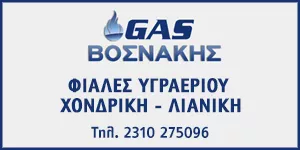 ΒΟΣΝΑΚΗΣ GAS – ΒΟΣΝΑΚΗΣ ΑΛΕΞΑΝΔΡΟΣ