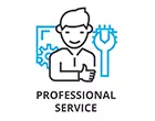 PROFESSIONAL SERVICE 