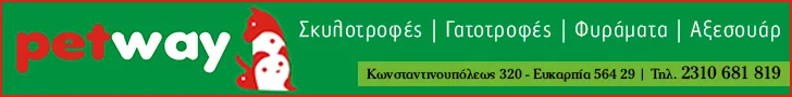 ΘΕΟΔΟΥΛΙΔΗΣ ΘΕΟΔ. ΜΙΧΑΗΛ