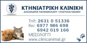 ΠΑΠΑΝΙΚΟΛΑΟΥ ΑΛΕΞΑΝΔΡΟΣ