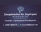 ΖΑΧΑΡΟΠΟΥΛΟΣ ΑΠ. ΔΗΜΗΤΡΙΟΣ 