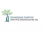 TOUNISSIDIS GEORGIOS MD MSc