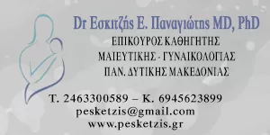 ΕΣΚΙΤΖΗΣ ΠΑΝΑΓΙΩΤΗΣ