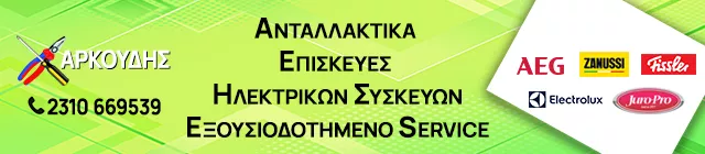 ΑΡΚΟΥΔΗΣ ΠΑΝΑΓΙΩΤΗΣ 