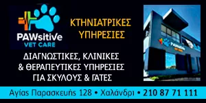 PAWSITIVE VET CARE Ι.Κ.Ε.