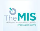 THE.M.I.S. - SIDERIDIS ARISTOTELIS - TERZIDIS IOANNIS -PAPASOULIS EFTHYMIOS - TOTLIS TRYFON