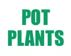 POT PLANTS - ΔΗΜΗΤΡΙΟΥ ΣΤΕΛΙΟΣ