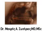 ΜΑΚΡΗΣ ΣΩΤΗΡΙΟΣ MD MSc