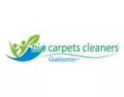 BIO CARPETS CLEANERS 