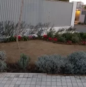 COLOR GARDEN Κατασκευή & Διαμόρφωση Κήπου Βάρη