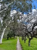 ΣΚΕΠΗ ΠΡΟΝΟΙΑΣ Οίκοι Ευγηρίας Παιανία