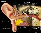 DIAMANTAS N. DIMITRIOS MD Neurologists Peristeri