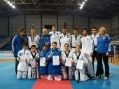 Πανελλήνιο κύπελλο Tae Kwon Do